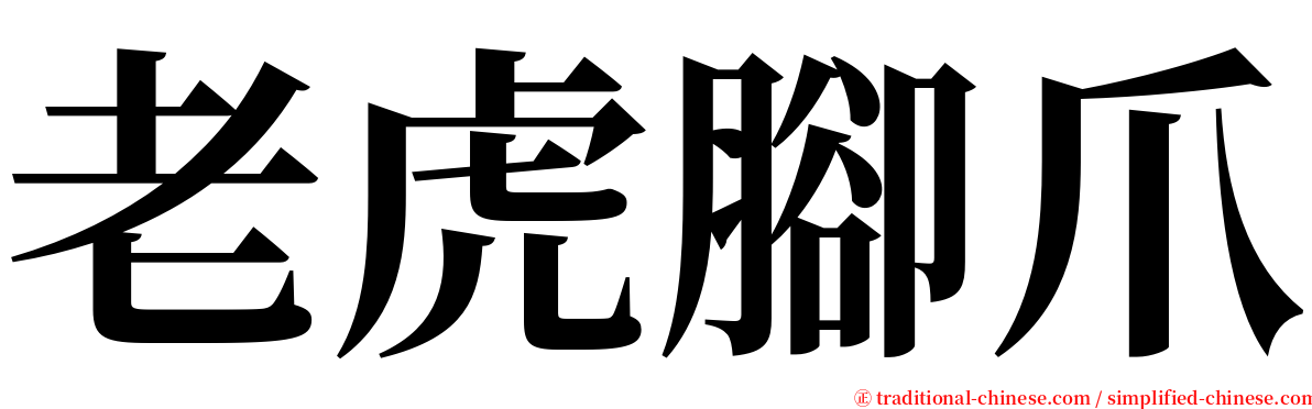 老虎腳爪 serif font