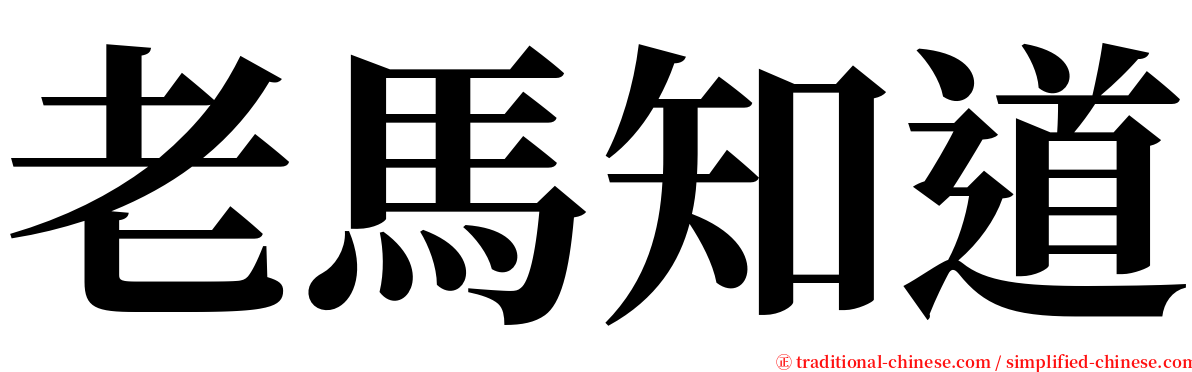 老馬知道 serif font