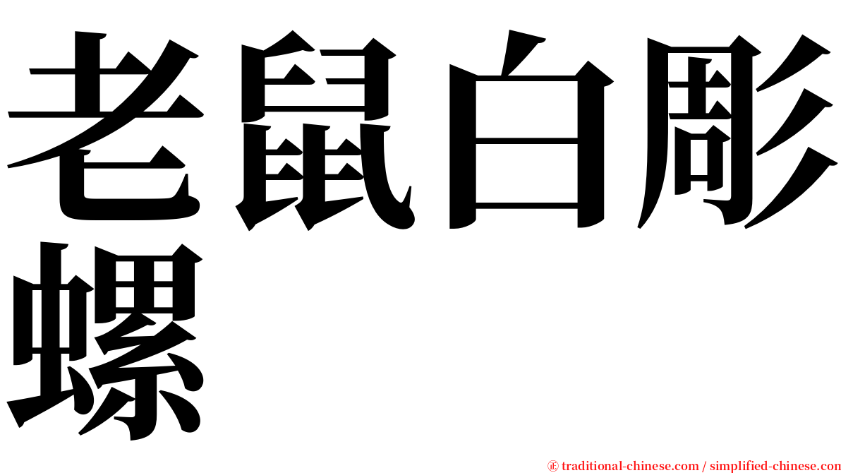 老鼠白彫螺 serif font