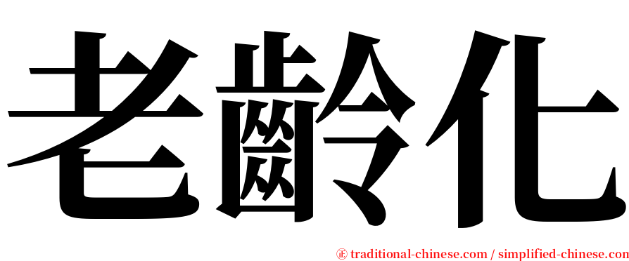 老齡化 serif font