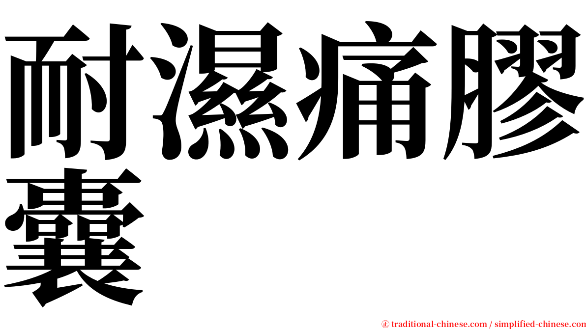 耐濕痛膠囊 serif font