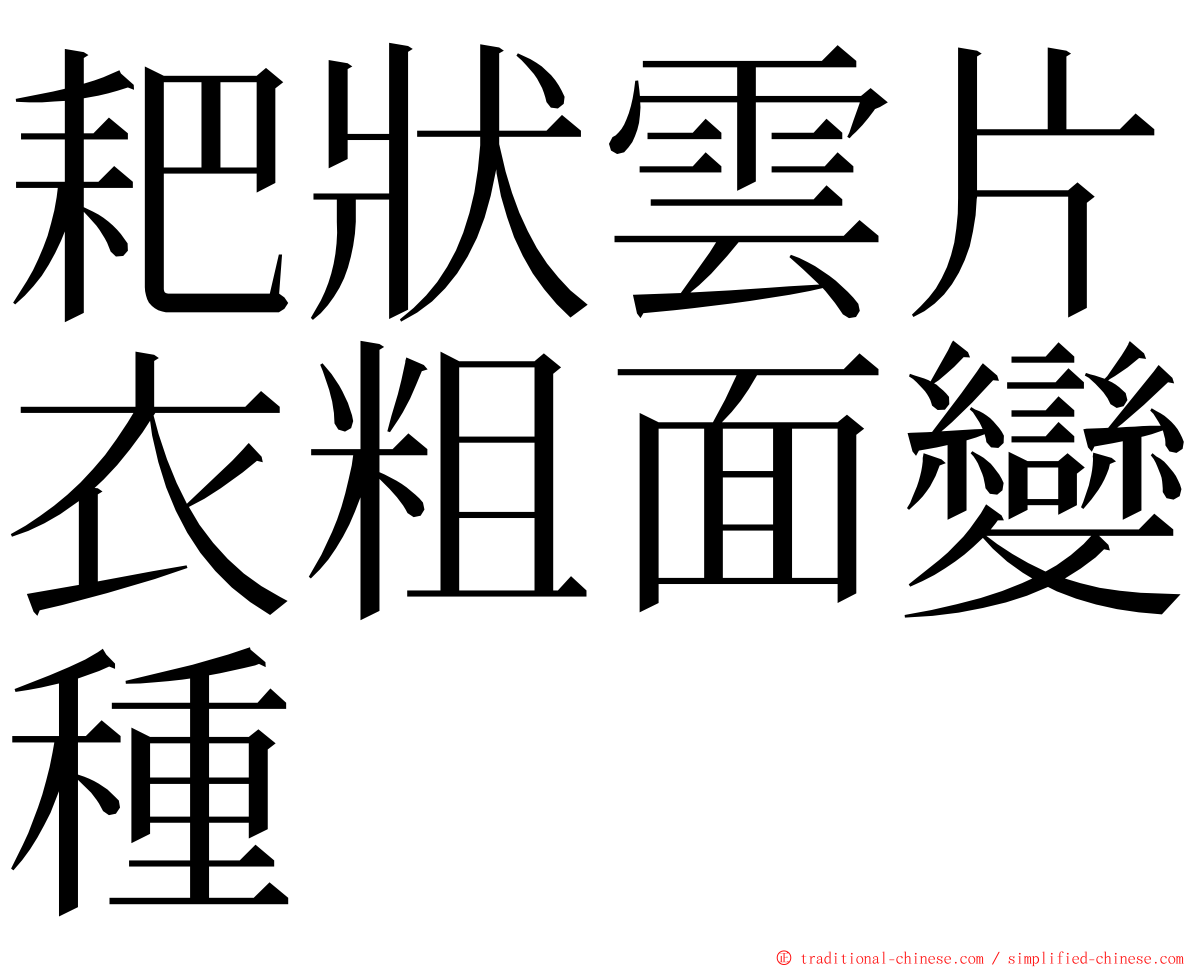 耙狀雲片衣粗面變種 ming font