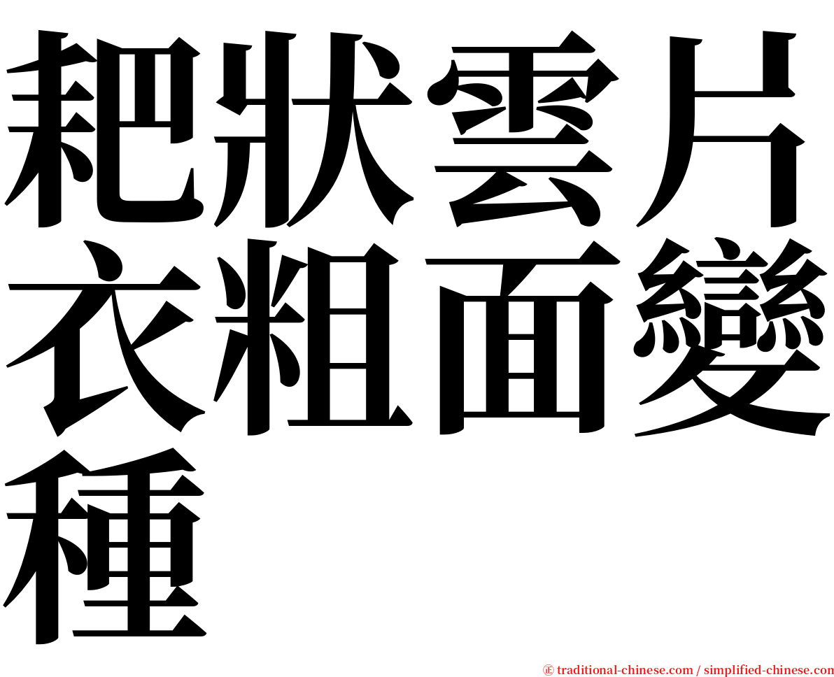 耙狀雲片衣粗面變種 serif font