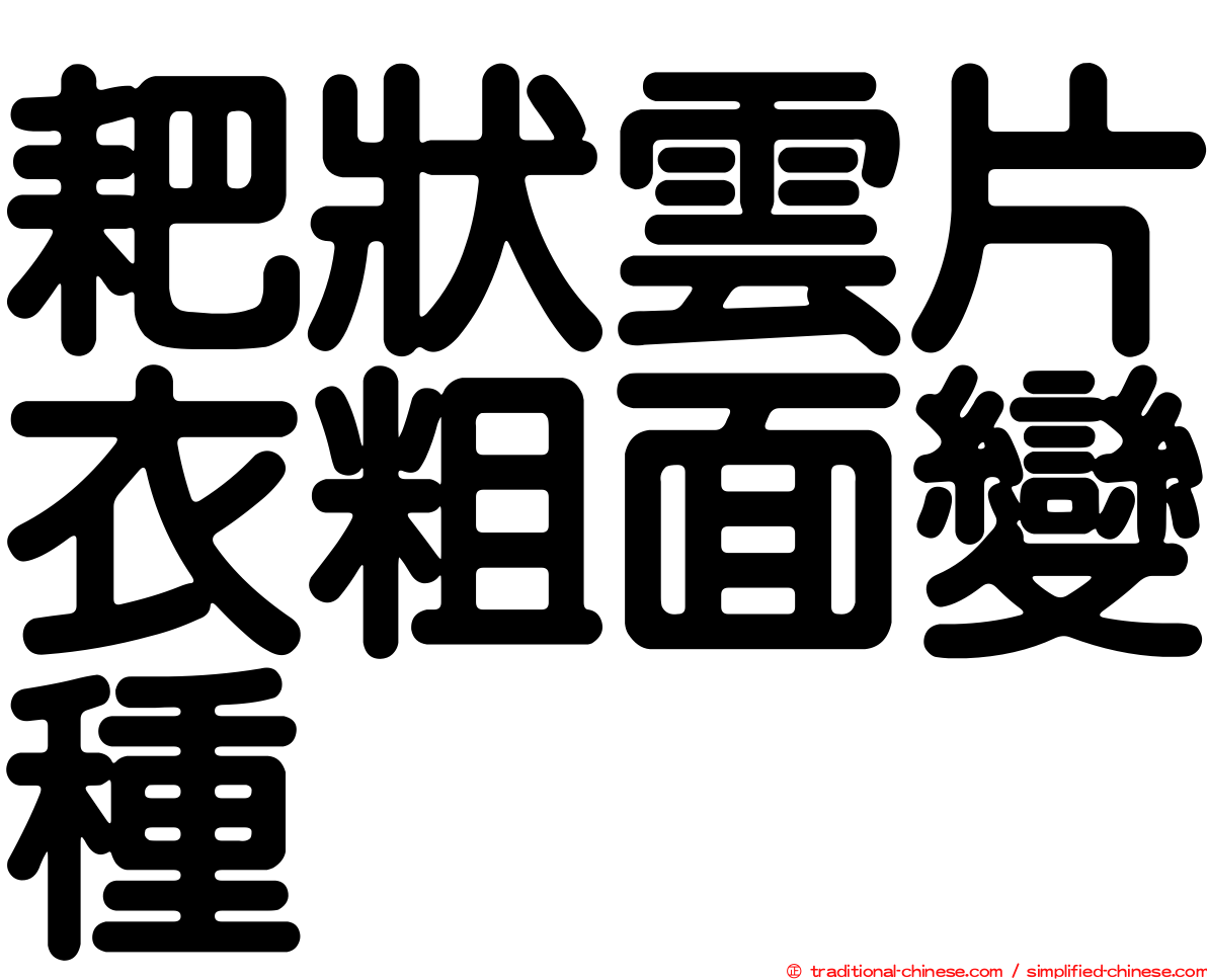 耙狀雲片衣粗面變種