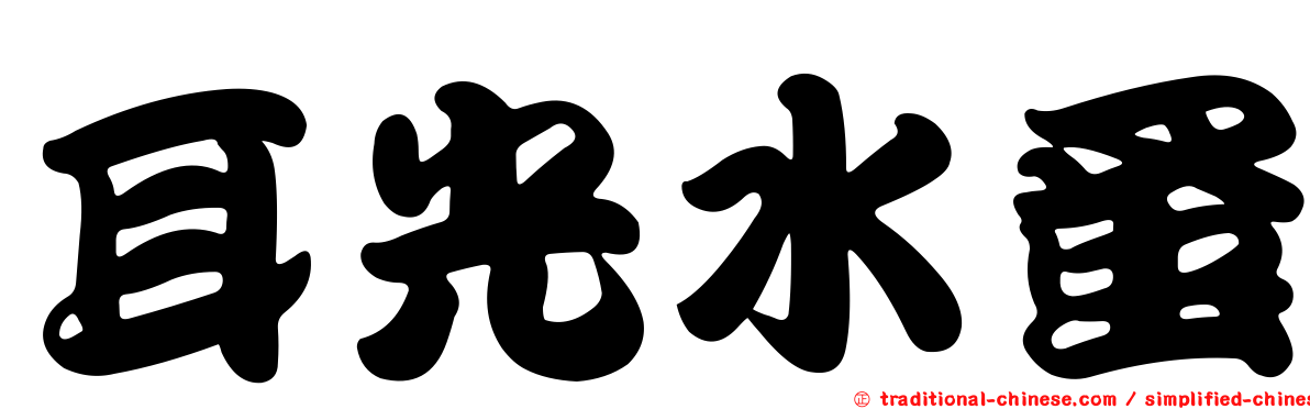 耳光水蚤