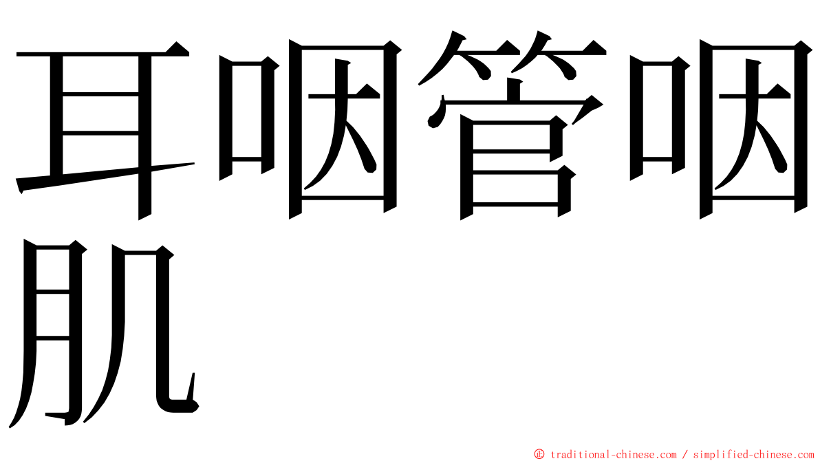 耳咽管咽肌 ming font