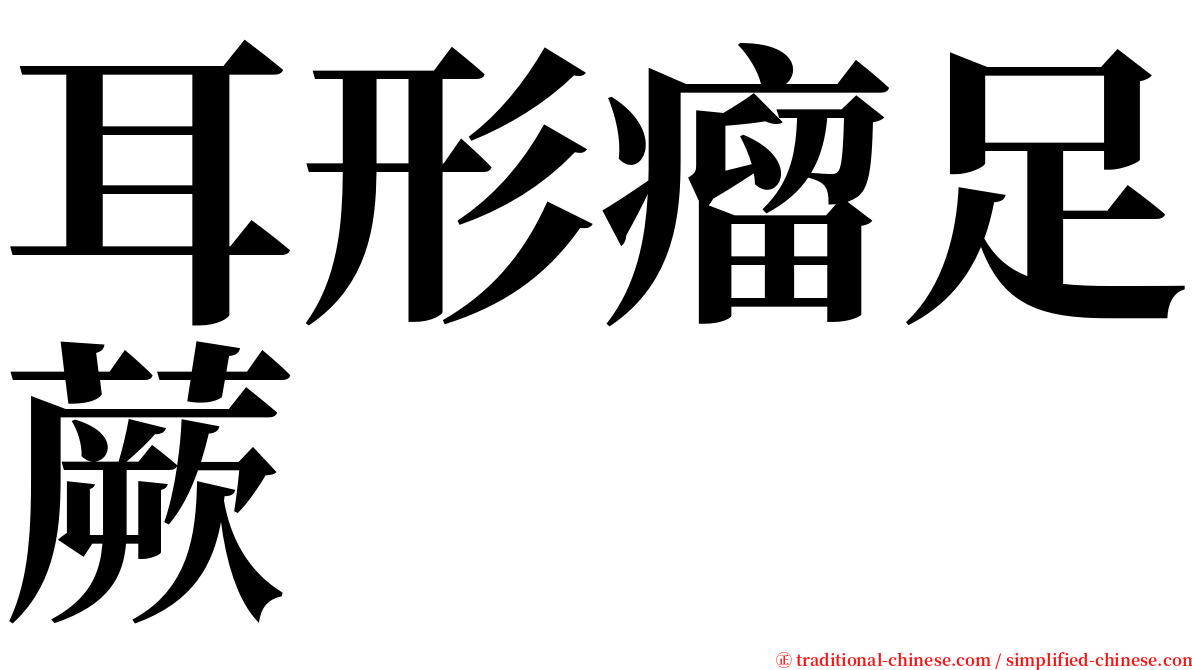 耳形瘤足蕨 serif font