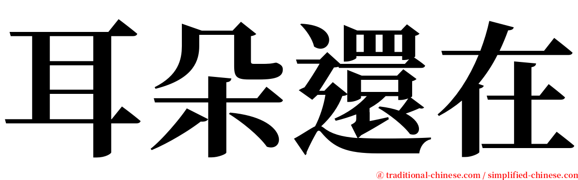 耳朵還在 serif font