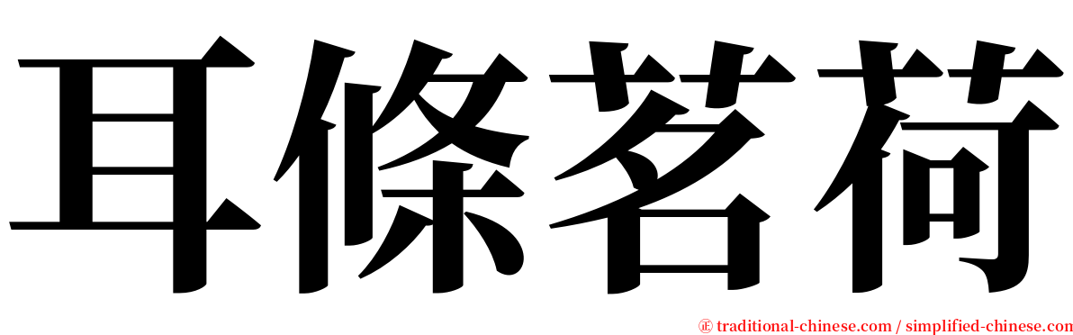 耳條茗荷 serif font