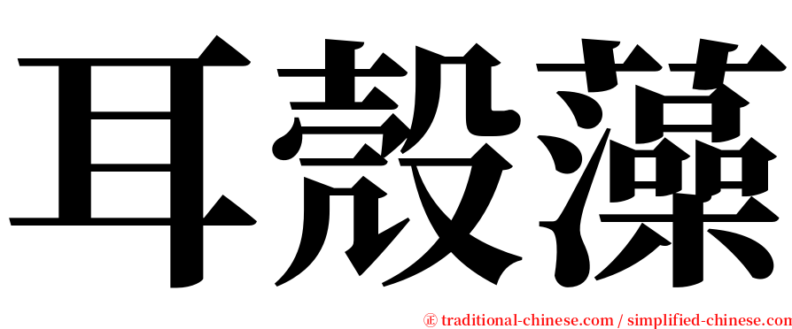 耳殼藻 serif font