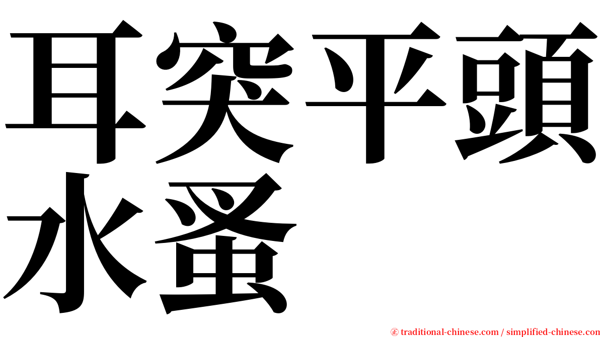 耳突平頭水蚤 serif font