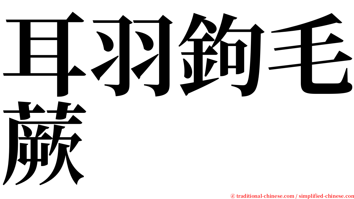 耳羽鉤毛蕨 serif font