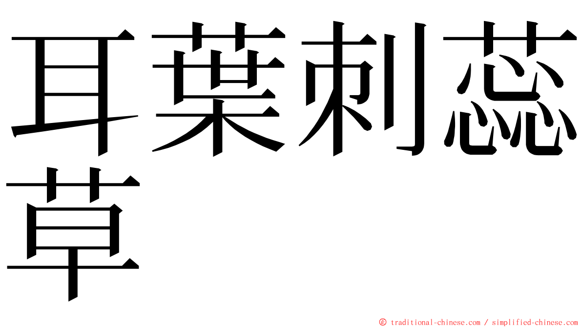 耳葉刺蕊草 ming font