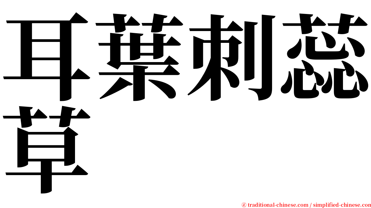 耳葉刺蕊草 serif font