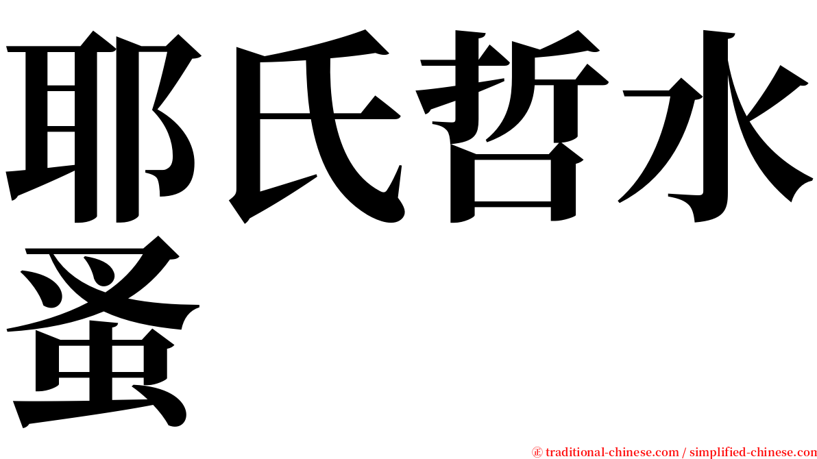 耶氏哲水蚤 serif font