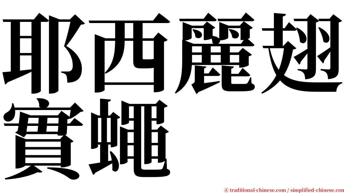 耶西麗翅實蠅 serif font