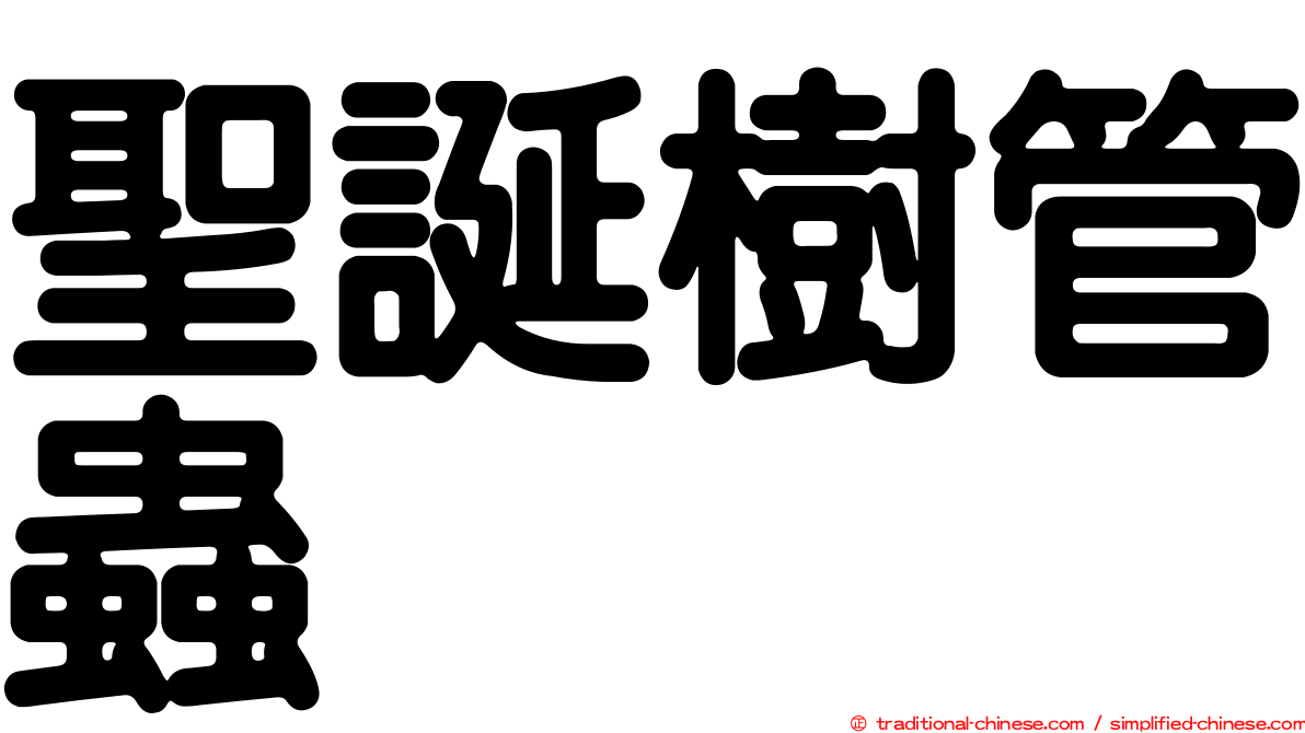 聖誕樹管蟲