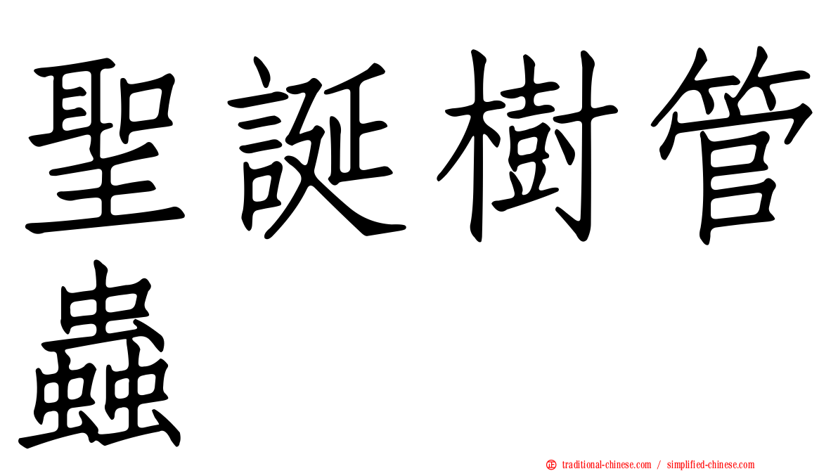 聖誕樹管蟲