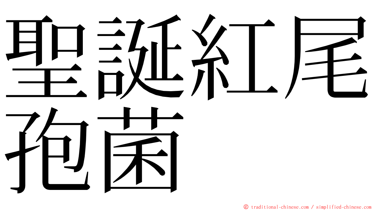 聖誕紅尾孢菌 ming font