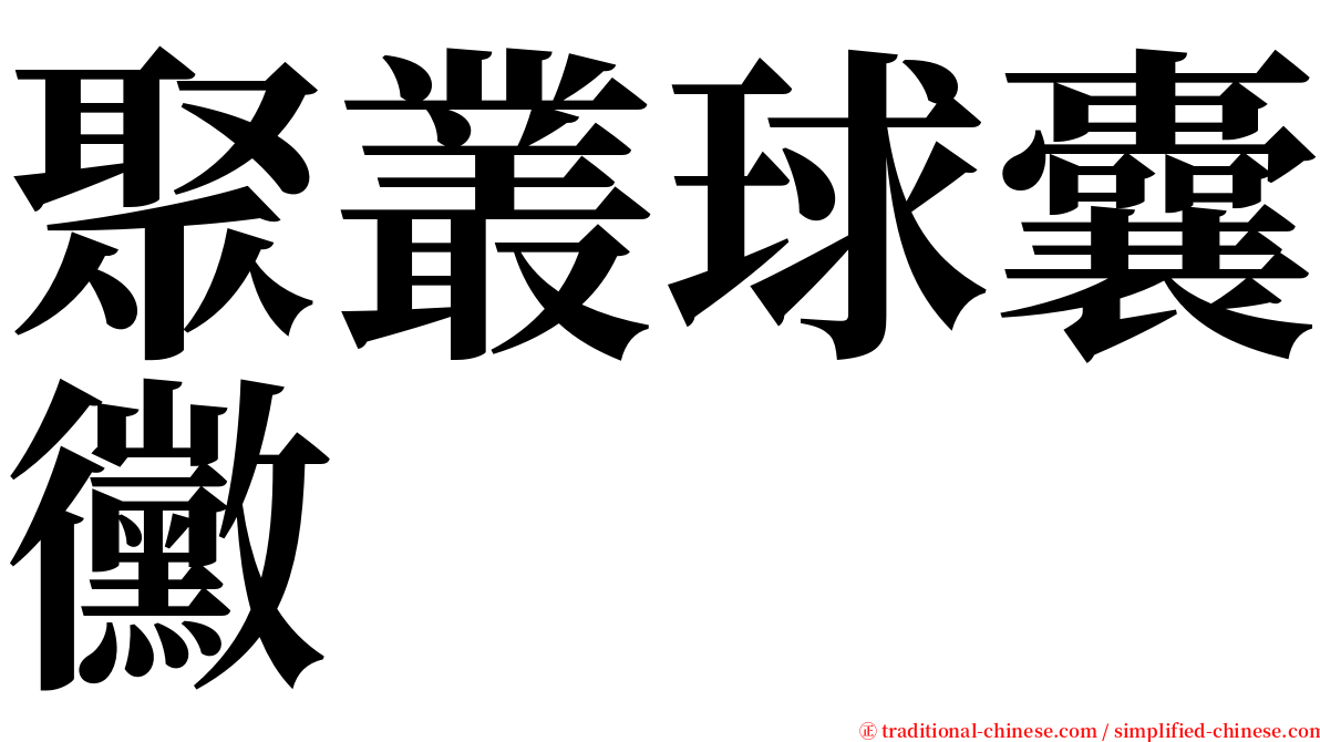 聚叢球囊黴 serif font