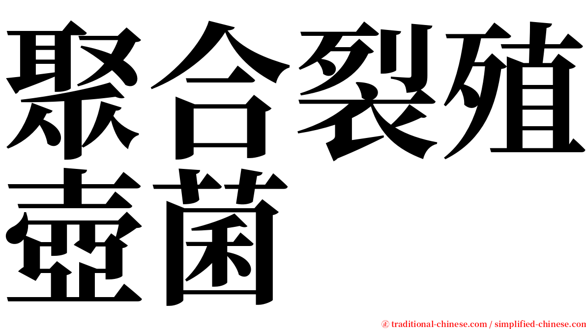 聚合裂殖壺菌 serif font