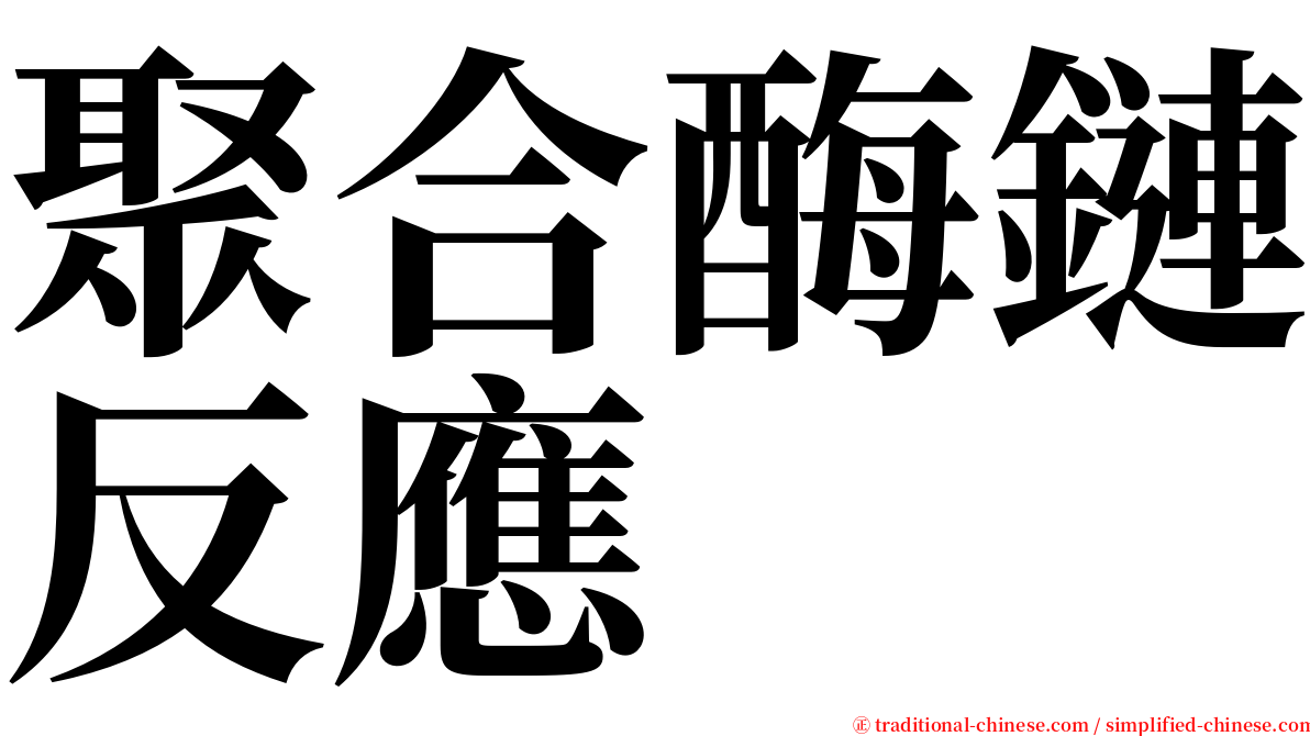 聚合酶鏈反應 serif font