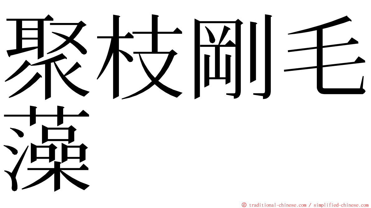 聚枝剛毛藻 ming font