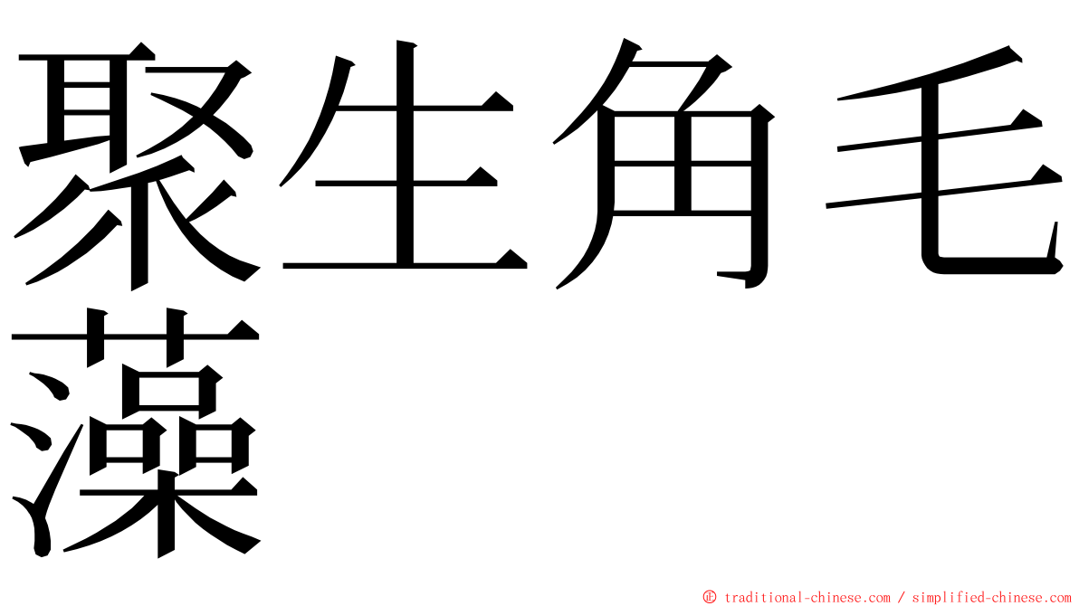 聚生角毛藻 ming font