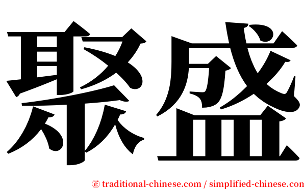 聚盛 serif font