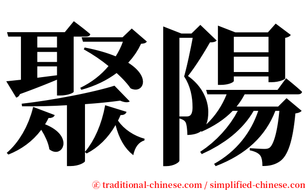 聚陽 serif font