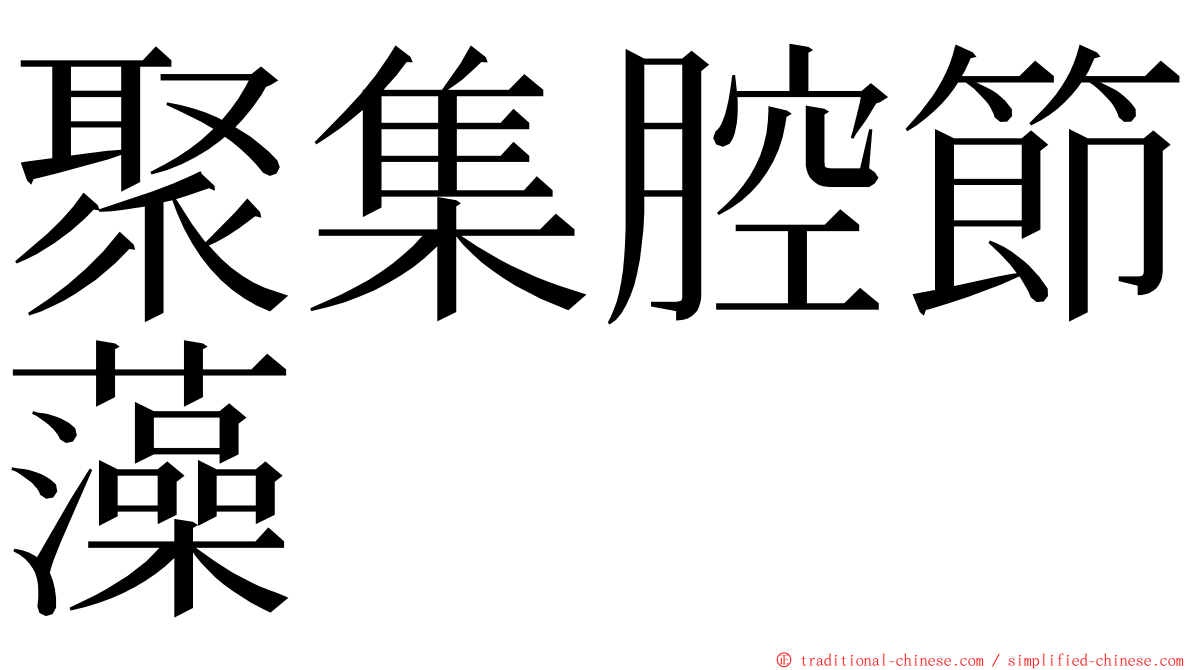 聚集腔節藻 ming font