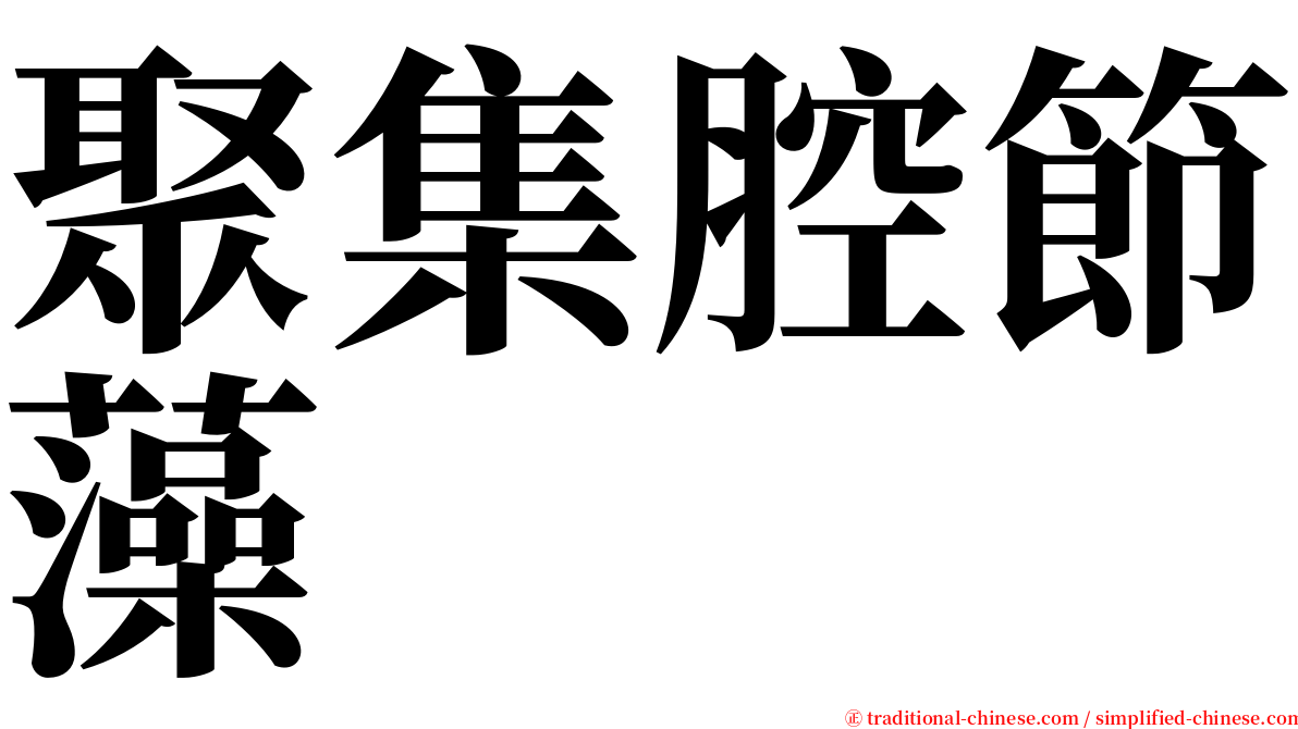 聚集腔節藻 serif font