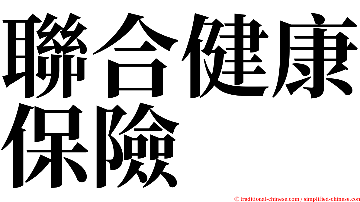 聯合健康保險 serif font