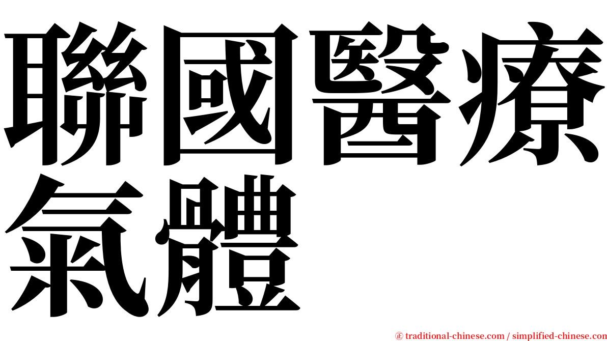 聯國醫療氣體 serif font