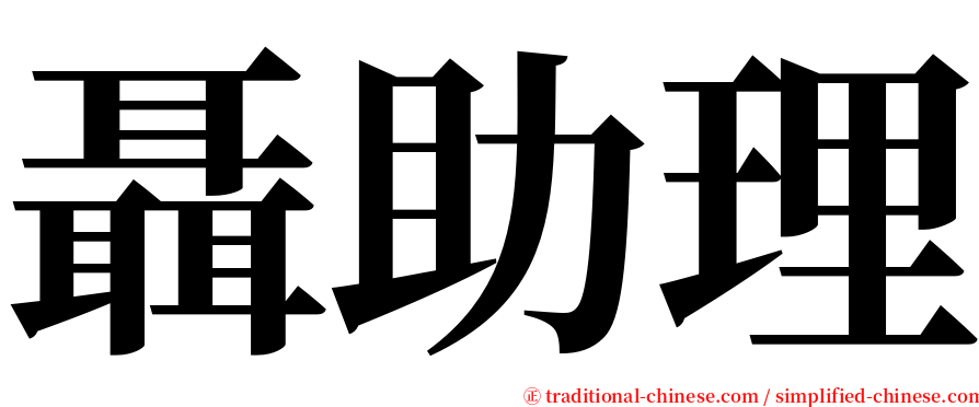 聶助理 serif font