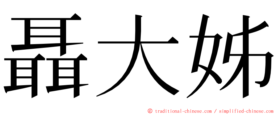聶大姊 ming font