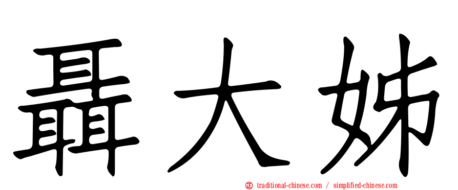 聶大姊