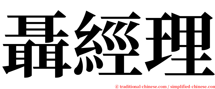 聶經理 serif font