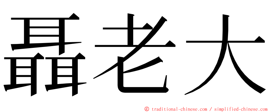 聶老大 ming font