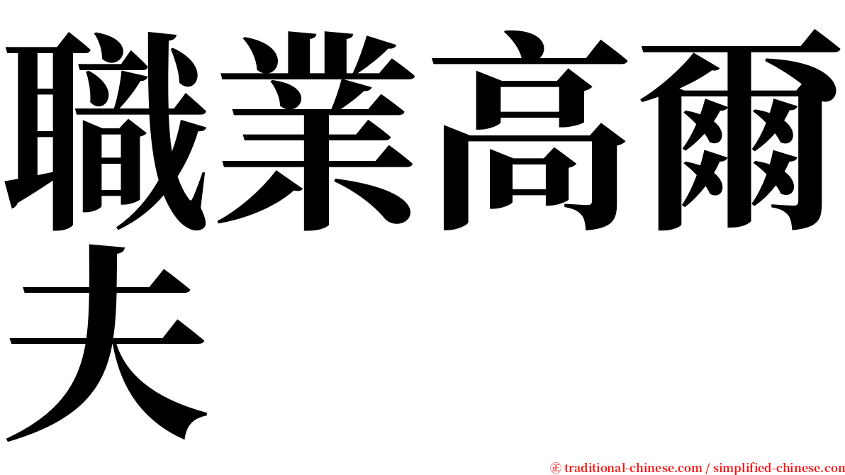 職業高爾夫 serif font