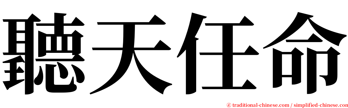 聽天任命 serif font