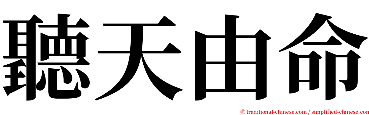 聽天由命 serif font