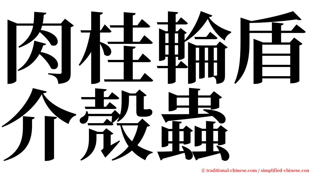 肉桂輪盾介殼蟲 serif font