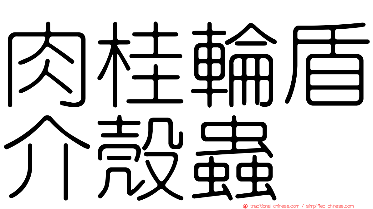 肉桂輪盾介殼蟲