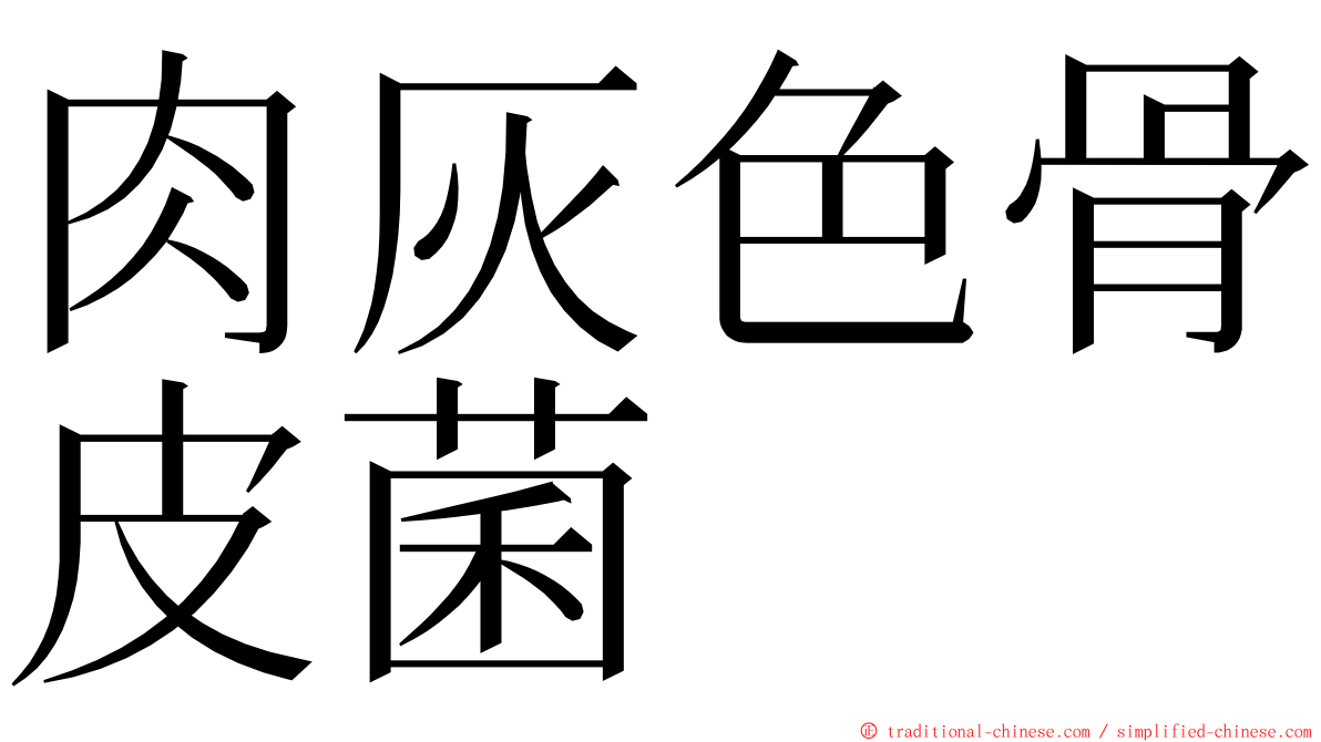 肉灰色骨皮菌 ming font