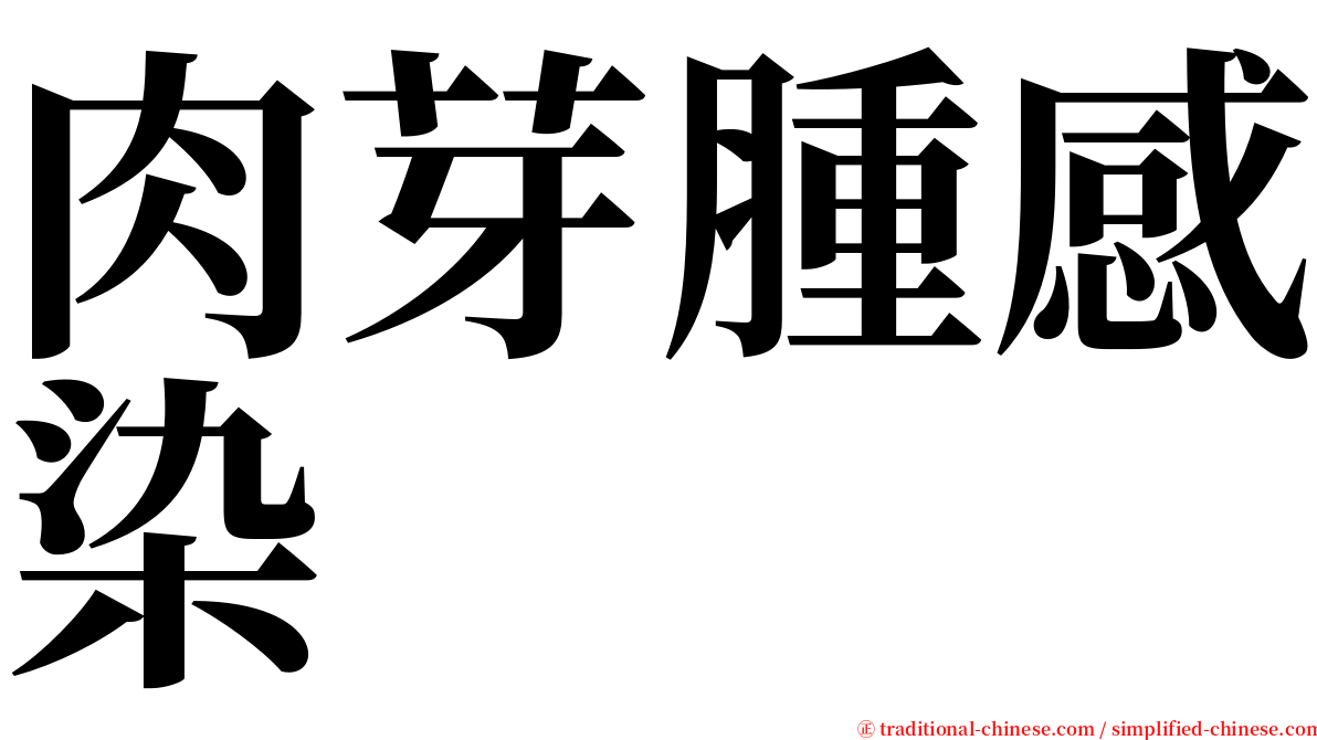 肉芽腫感染 serif font