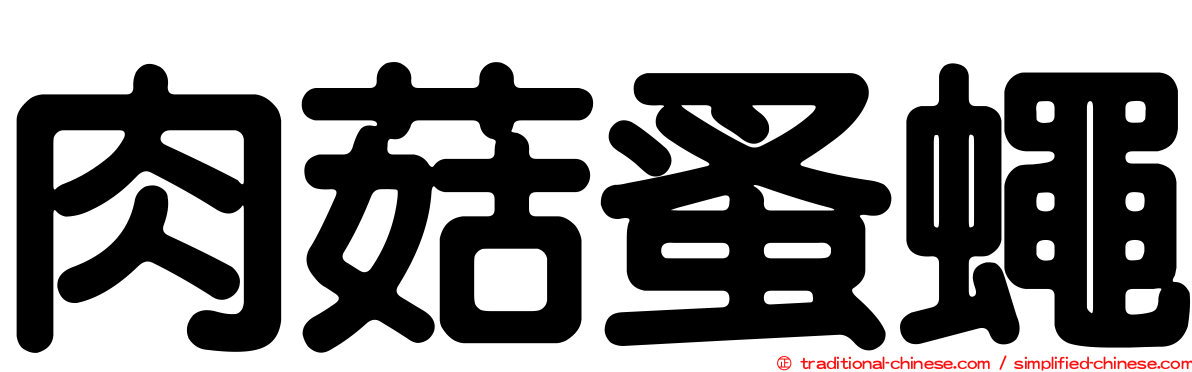 肉菇蚤蠅