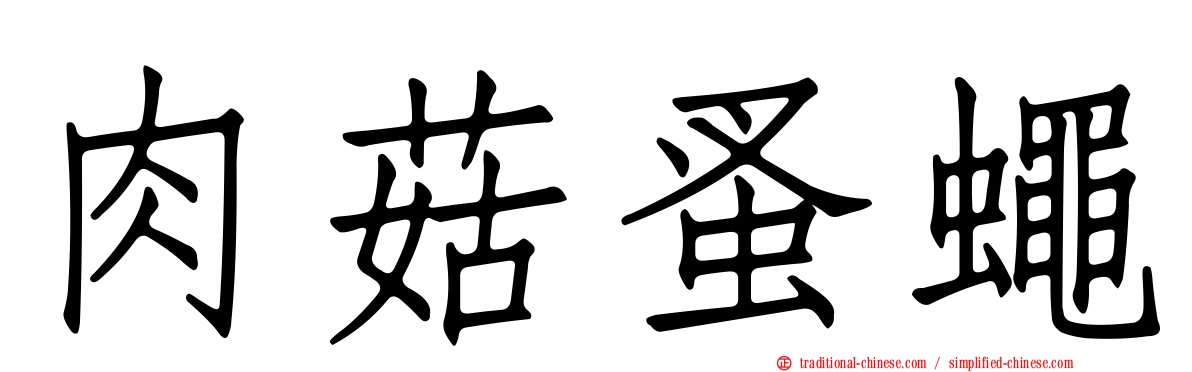 肉菇蚤蠅