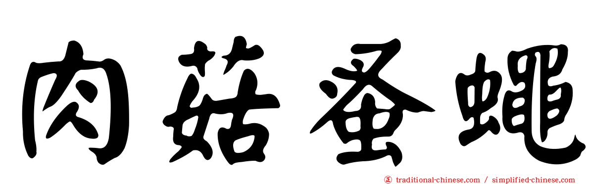 肉菇蚤蠅