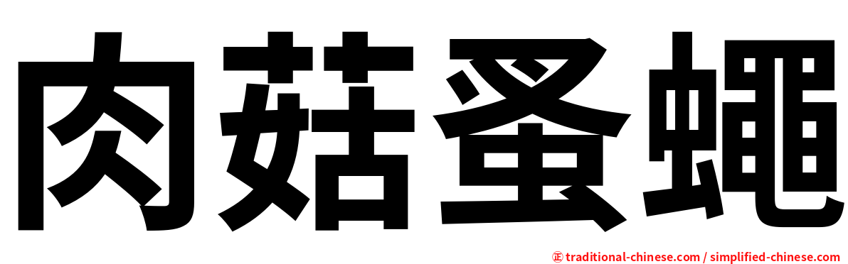 肉菇蚤蠅